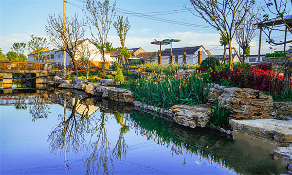 沂蒙乡村的振兴密码——临沂市乡村振兴现场推进会议侧记
